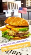 Elk Burger